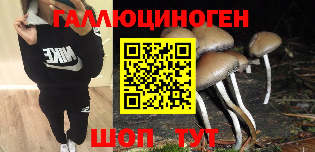 Псилоцибиновые грибы мухоморы Тихвин