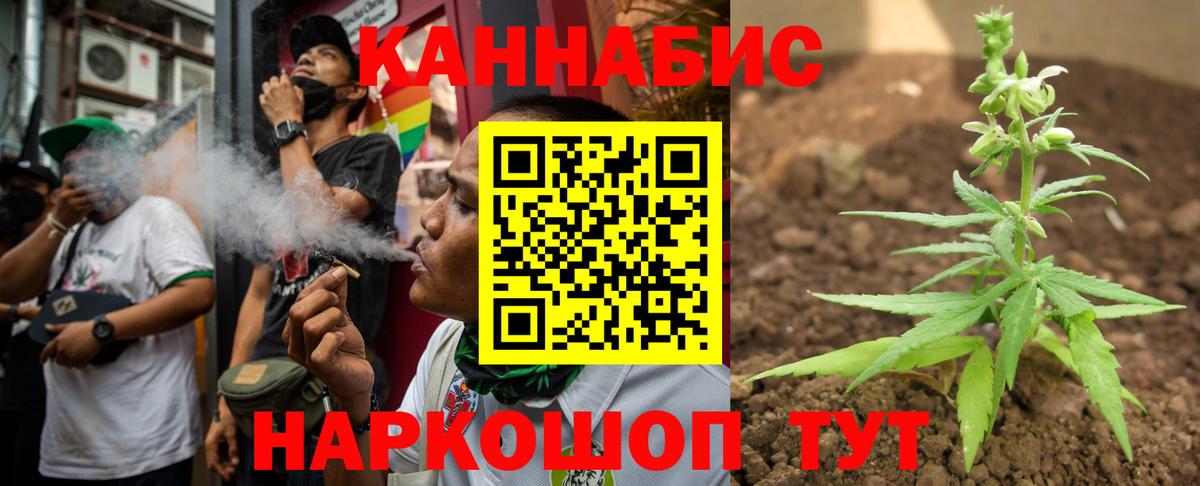 Шишки марихуана сатива Тихвин